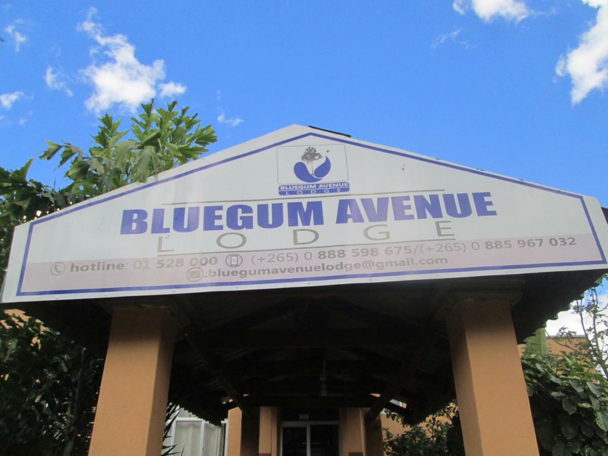 Bluegum Avenue Lodge Zomba Dış mekan fotoğraf